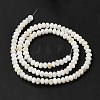 Natural Freshwater Shell Beads Strands BSHE-E026-15A-01-3