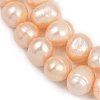 Natural Cultured Freshwater Pearl Beads Strands PEAR-I007-07Z-02B-4