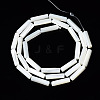 Natural Trochid Shell/Trochus Shell Beads Strands X-SSHEL-S266-020A-03-2