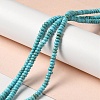 Natural Howlite Beads Strands G-C025-09C-2