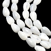 Natural White Shell Beads Strands SH-CBAF49A-03-3