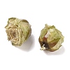 Brass Epoxy Resin Pendants FIND-D043-01G-10-2