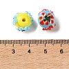 Handmade Lampwork Beads LAMP-F047-02-3