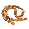 Natural Amber Beads Strands G-L095-C01-04-3
