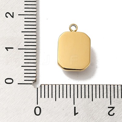 304 Stainless Steel Glass Pendants STAS-L022-062G-07-1