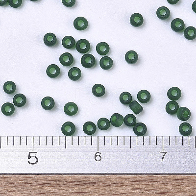 MIYUKI Round Rocailles Beads X-SEED-G007-RR0156F-1