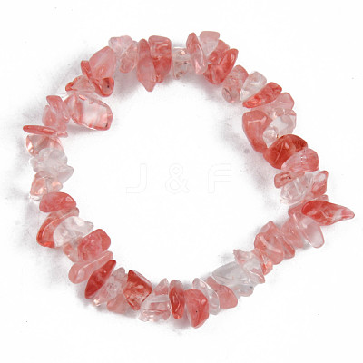 Unisex Chip Watermelon Stone Glass Beaded Stretch Bracelets BJEW-S143-39-1