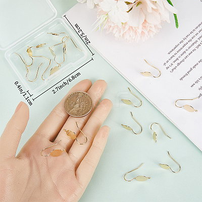 20Pcs 2 Styles Brass Earring Hooks KK-BBC0011-29-1