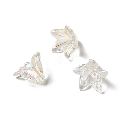 Transparent Acrylic Bead Caps X-OACR-H016-05-1