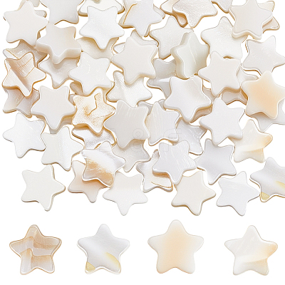 2 Strands Freshwater Shell Beads Strands SHEL-SC0001-86-1