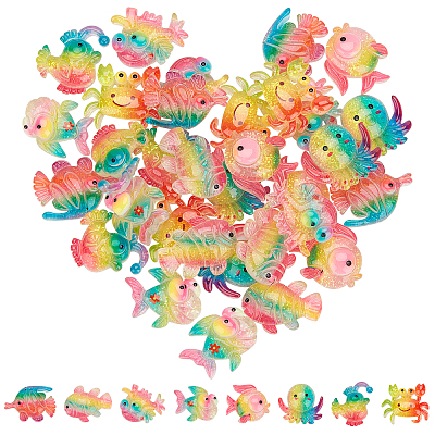 Rainbow Resin Cabochons CRES-SC0001-63-1