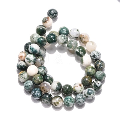 Natural Tree Agate Beads Strands X-G-H1633-8MM-1