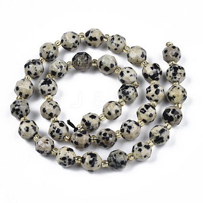 Natural Dalmatian Jasper Beads Strands G-N326-100-02-1