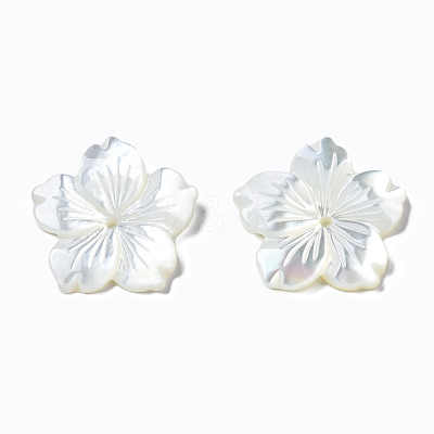 Natural White Shell Mother of Pearl Shell Beads SSHEL-T014-42C-1