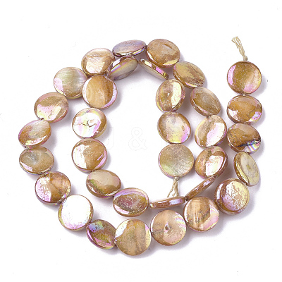 Freshwater Shell Beads Strands X-SHEL-S274-52C-1