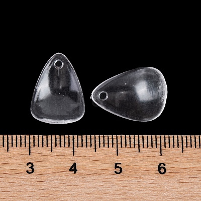 Transparent Acrylic Pendants TACR-G050-01D-1