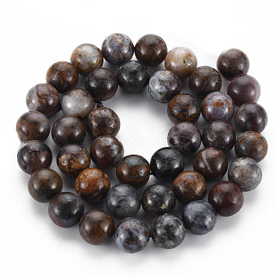 Natural Pietersite Beads Strands G-R446-10mm-13-1