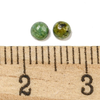 Natural African Turquoise(Jasper) Cabochons G-Q173-01A-05-1