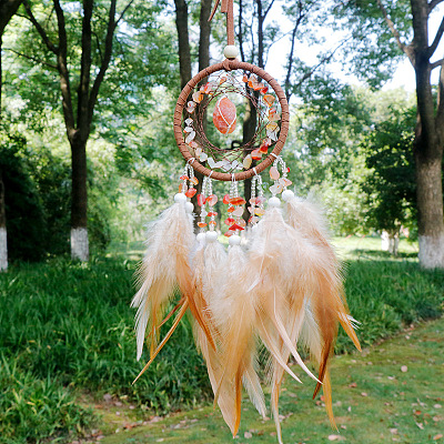 Natural Carnelian Woven Web/Net with Feather Pendant Decorations PW-WG69741-05-1