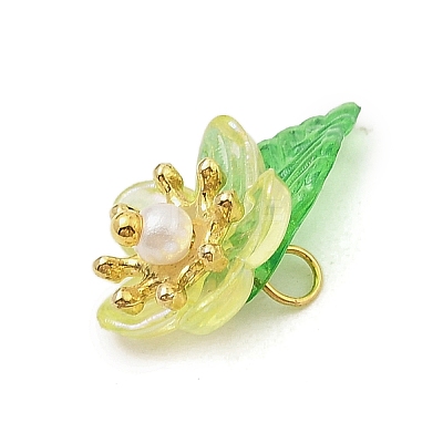 5Pcs Acrylic Pendants PALLOY-JF02962-1