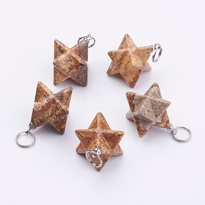 Natural Picture Jasper Pendants G-E398-02C-1