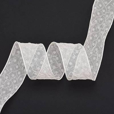 20 Yards Polyester Mesh Ribbon SRIB-P021-E07-1