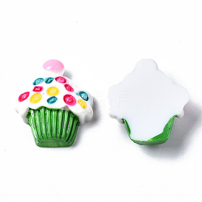 Spray Painted Resin Cabochons CRES-Q215-005-1