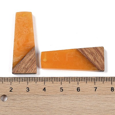 Resin & Wood Pendants WOOD-F015-04C-1