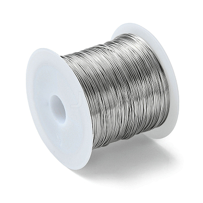 Non-Tarnish 316 Stainless Steel Wire TWIR-L004-01C-P-1