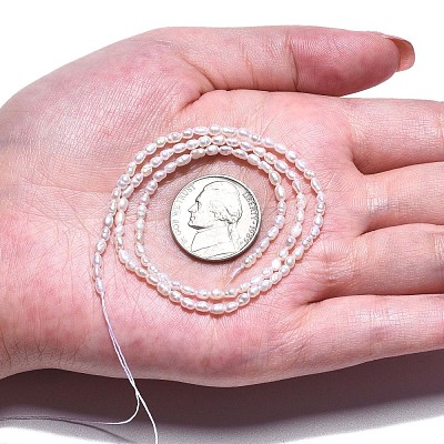Natural Cultured Freshwater Pearl Beads Strands PEAR-N012-02J-1
