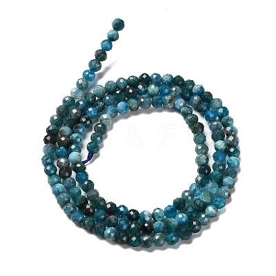 Natural Apatite Beads Strands G-RM2025-28-3mm-1