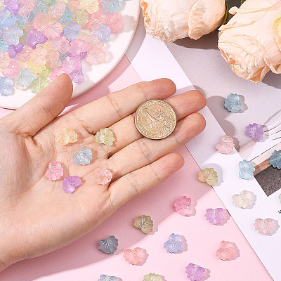 300Pcs Transparent Frosted Acrylic Beads OACR-SC0002-67-1
