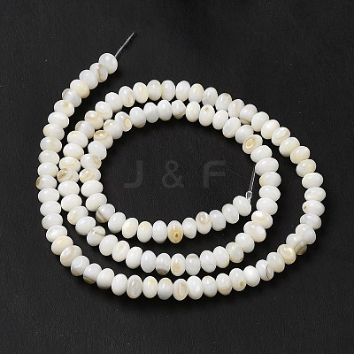 Natural Freshwater Shell Beads Strands BSHE-E026-15A-01-1