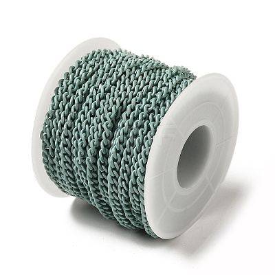 Spray Painted 304 Stainless Steel Curb Chains STAS-B067-05B-01-1