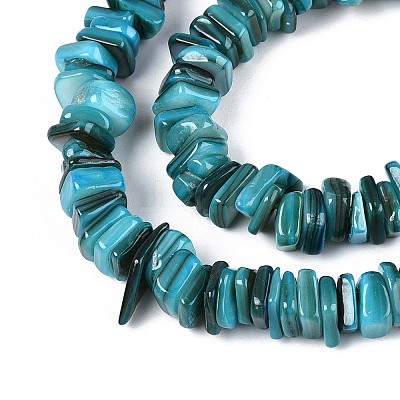 Natural Freshwater Shell Beads Strands SHEL-T020-40D-1