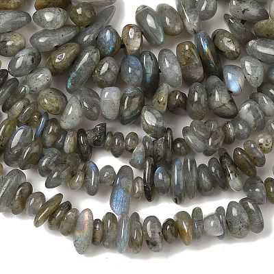 Natural Labradorite Beads Strands G-I225-15A-1