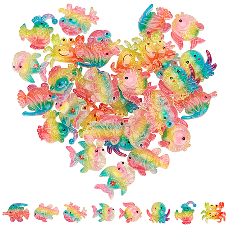 Rainbow Resin Cabochons CRES-SC0001-63-1