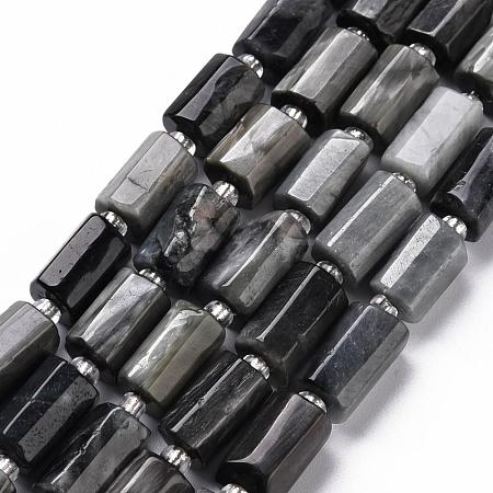 Natural Hawk's Eye Beads Strands G-S345-8x11-009-1