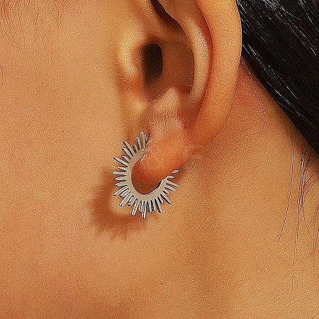 304 Stainless Steel and Brass Hoop Earrings FS-WG82045-28-1