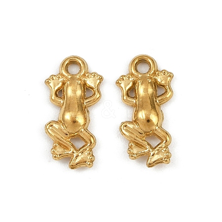 304 Stainless Steel Charms STAS-F317-12G-1