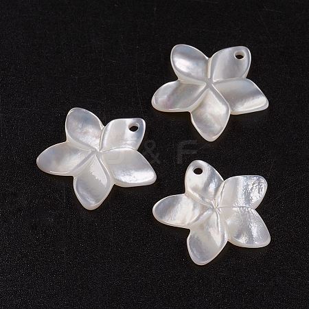 Natural White Shell Mother of Pearl Shell Pendants X-SSHEL-G014-60-1