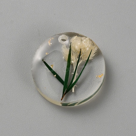 Transparent Resin Pendants RESI-TAC0018-35-1