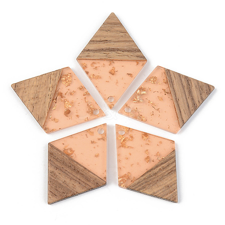 Transparent Resin & Walnut Wood Pendants LS-RESI-S389-012A-B04-1