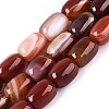 Natural Agate Beads Strands G-N356-02B-06-1