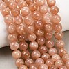 Natural Sunstone Beads Strands G-G342-A03-9mm-1