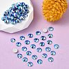 Preciosa® MAXIMA Crystal No Hotfix Flatback Stones Y-PRC-NSS6-30050-200-2