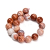Natural Mexican Pink Agate Beads Strands GG-CBA07EB-A01-01-4