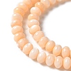 Natural Freshwater Shell Beads Strands SSHEL-C013-07H-3