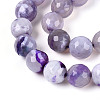Dyed & Heated Natural Fire Crackle Agate Beads Strands G-N359-01B-08-4