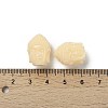 Opaque Resin Beads LS-RESI-XCP0002-31-3